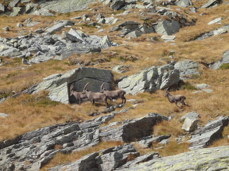 09 non li disturba nessuno.JPG